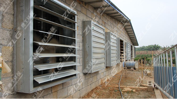 養(yǎng)鴿場通風(fēng)降溫負(fù)壓風(fēng)機(jī)，廣西風(fēng)機(jī)廠家