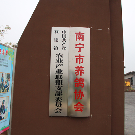 南寧市養鴿協會