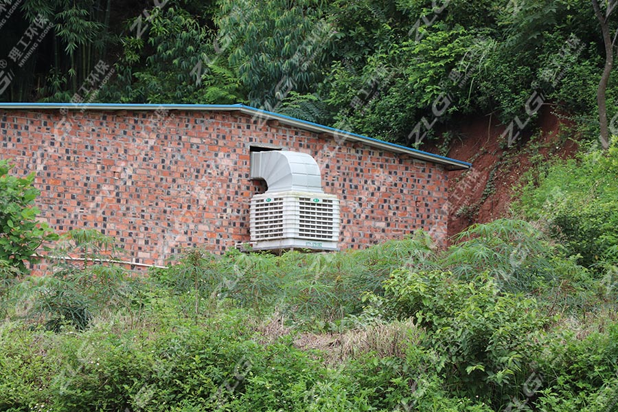母豬養殖場安裝理工冷風機