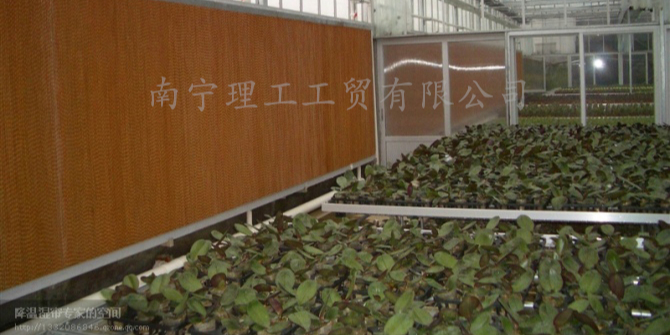 花卉大棚降溫用水簾墻，廣西水簾批發(fā)