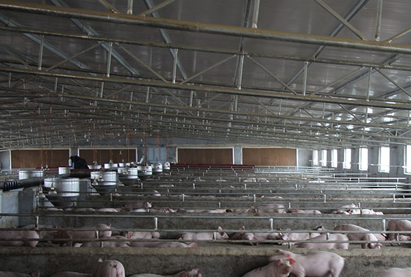 養(yǎng)殖場風(fēng)機(jī)水簾