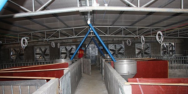 養豬場降溫設備有哪些？[ZLG理工]品質保障