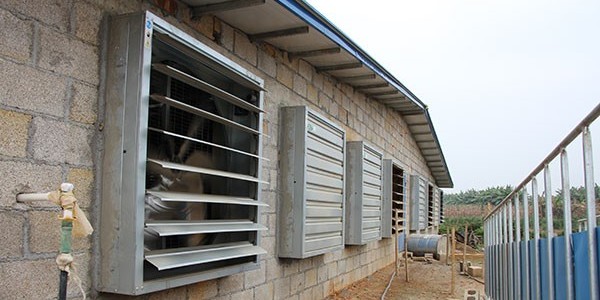 養雞場降溫設備生產廠家為什么選[ZLG理工]