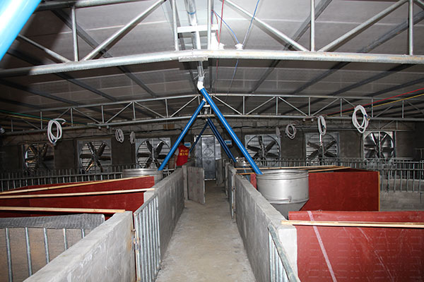 豬場(chǎng)降溫設(shè)備負(fù)壓風(fēng)機(jī)