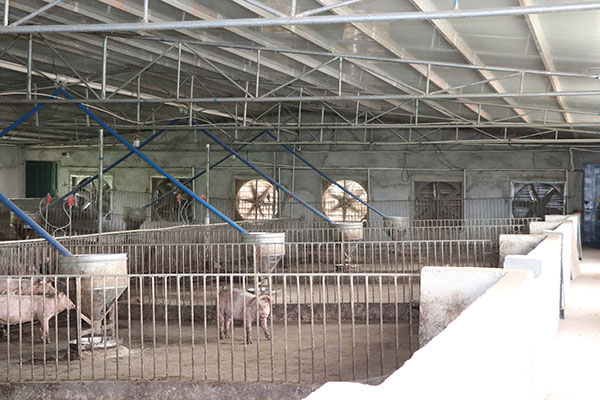 豬舍降溫設備