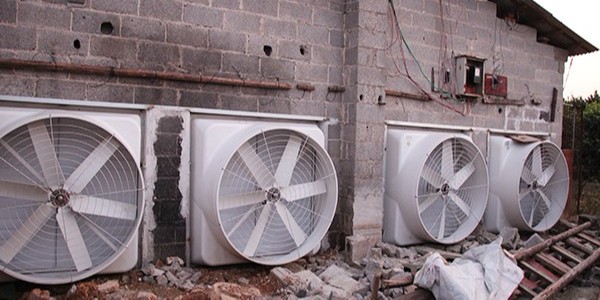 養殖場降溫設備那種好？找[ZLG理工]專業降溫效果好