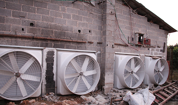 養(yǎng)殖場玻璃鋼負壓風機