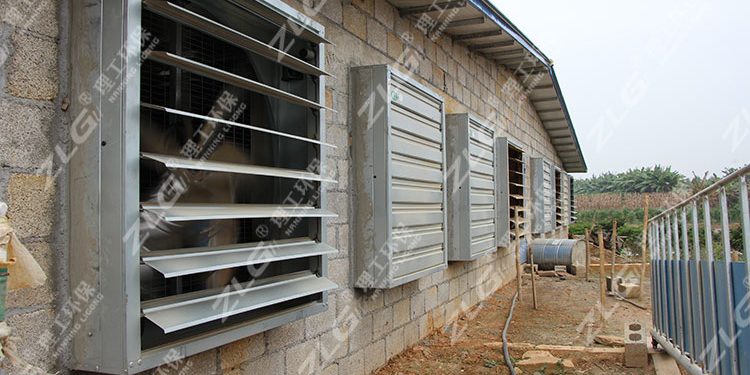 養(yǎng)豬場水簾負壓風機降溫，養(yǎng)殖場降溫專家