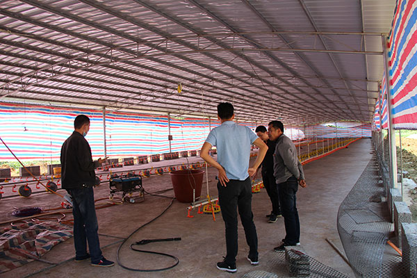 ZLG理工安裝馬山縣肉雞養殖場負壓風機水簾墻