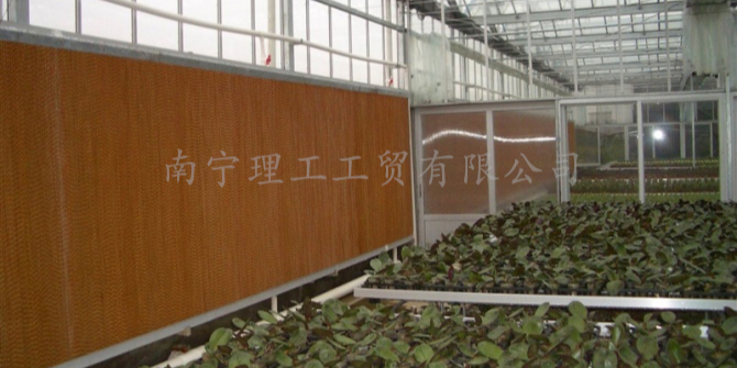 大棚水簾墻通風降溫，南寧水簾廠家批發(fā)