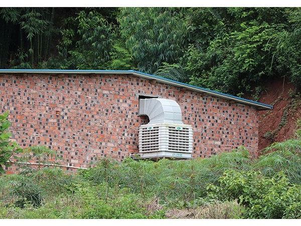 養(yǎng)殖冷風(fēng)機(jī)廠家-安裝簡單，型號齊全[ZLG理工]